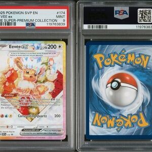 Eevee EX Card - Multicolor